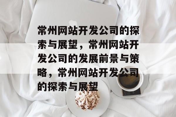 常州网站开发公司的探索与展望，常州网站开发公司的发展前景与策略，常州网站开发公司的探索与展望