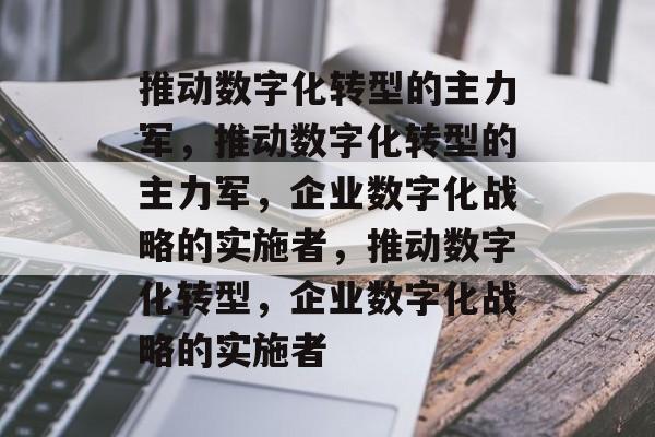 推动数字化转型的主力军，推动数字化转型的主力军，企业数字化战略的实施者，推动数字化转型，企业数字化战略的实施者