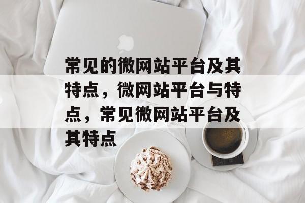 常见的微网站平台及其特点，微网站平台与特点，常见微网站平台及其特点