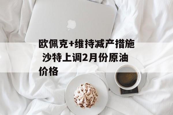 欧佩克+维持减产措施 沙特上调2月份原油价格