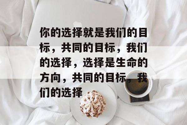 你的选择就是我们的目标，共同的目标，我们的选择，选择是生命的方向，共同的目标，我们的选择