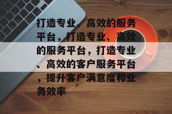 打造专业、高效的服务平台，打造专业、高效的服务平台，打造专业、高效的客户服务平台，提升客户满意度和业务效率