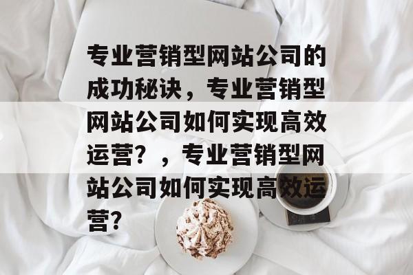 专业营销型网站公司的成功秘诀，专业营销型网站公司如何实现高效运营？，专业营销型网站公司如何实现高效运营？