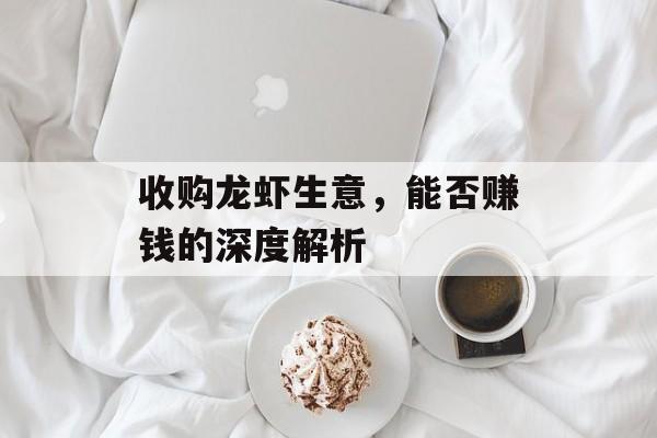 收购龙虾生意，能否赚钱的深度解析