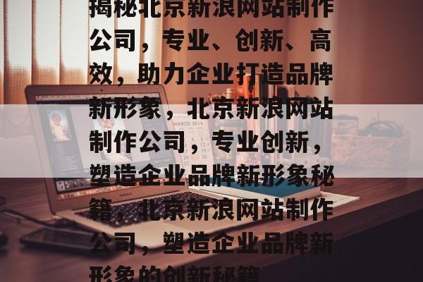 揭秘北京新浪网站制作公司，专业、创新、高效，助力企业打造品牌新形象，北京新浪网站制作公司，专业创新，塑造企业品牌新形象秘籍，北京新浪网站制作公司，塑造企业品牌新形象的创新秘籍