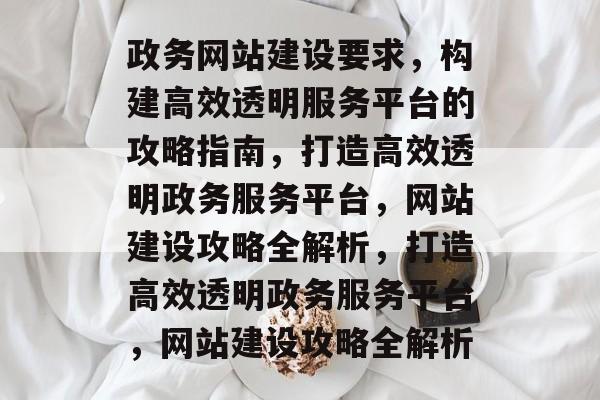 政务网站建设要求，构建高效透明服务平台的攻略指南，打造高效透明政务服务平台，网站建设攻略全解析，打造高效透明政务服务平台，网站建设攻略全解析