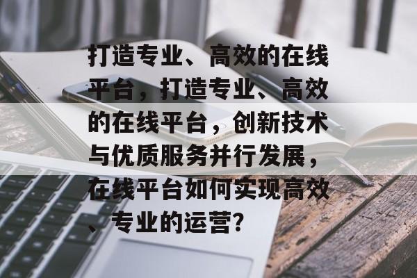 打造专业、高效的在线平台，打造专业、高效的在线平台，创新技术与优质服务并行发展，在线平台如何实现高效、专业的运营？