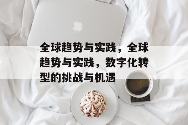 全球趋势与实践，全球趋势与实践，数字化转型的挑战与机遇