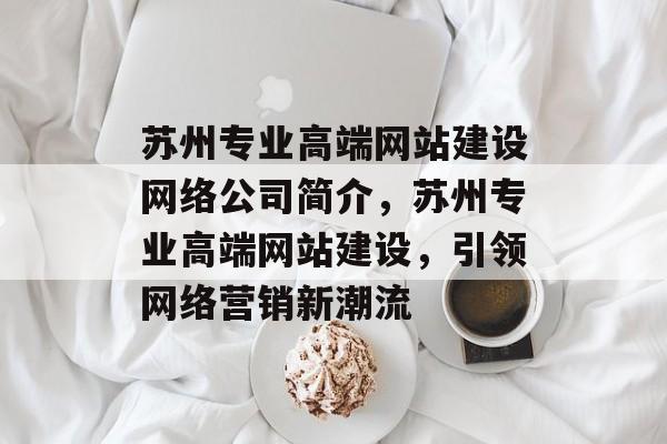 苏州专业高端网站建设网络公司简介，苏州专业高端网站建设，引领网络营销新潮流