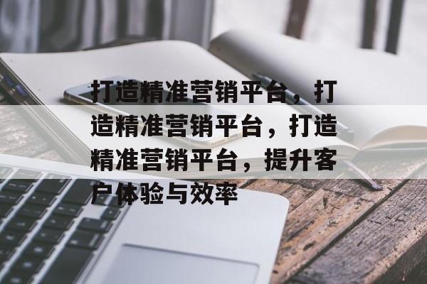 打造精准营销平台，打造精准营销平台，打造精准营销平台，提升客户体验与效率