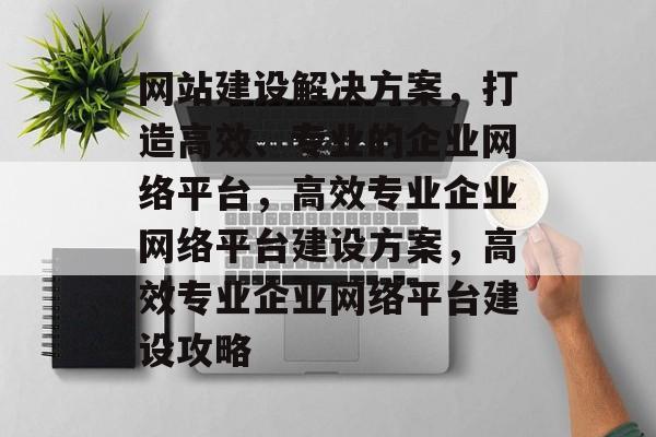 网站建设解决方案，打造高效、专业的企业网络平台，高效专业企业网络平台建设方案，高效专业企业网络平台建设攻略
