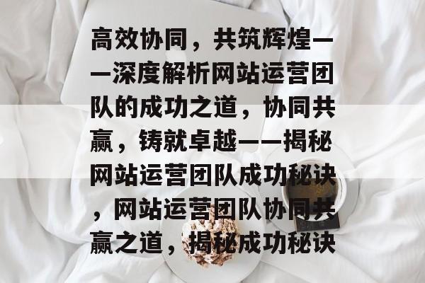 高效协同，共筑辉煌——深度解析网站运营团队的成功之道，协同共赢，铸就卓越——揭秘网站运营团队成功秘诀，网站运营团队协同共赢之道，揭秘成功秘诀