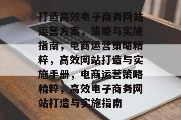打造高效电子商务网站运营方案，策略与实施指南，电商运营策略精粹，高效网站打造与实施手册，电商运营策略精粹，高效电子商务网站打造与实施指南