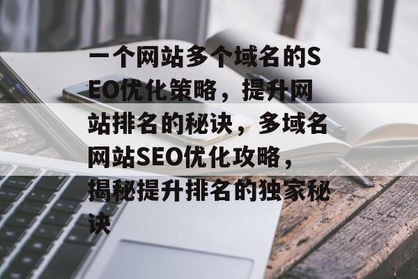 一个网站多个域名的SEO优化策略，提升网站排名的秘诀，多域名网站SEO优化攻略，揭秘提升排名的独家秘诀