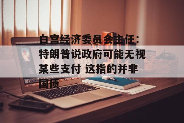 白宫经济委员会主任：特朗普说政府可能无视某些支付 这指的并非国债