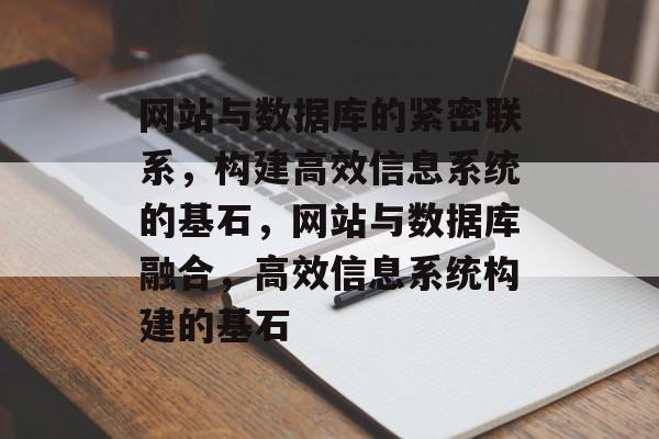 网站与数据库的紧密联系，构建高效信息系统的基石，网站与数据库融合，高效信息系统构建的基石