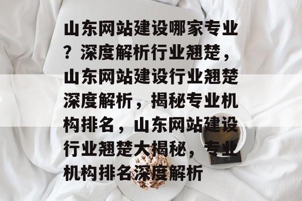 山东网站建设哪家专业？深度解析行业翘楚，山东网站建设行业翘楚深度解析，揭秘专业机构排名，山东网站建设行业翘楚大揭秘，专业机构排名深度解析