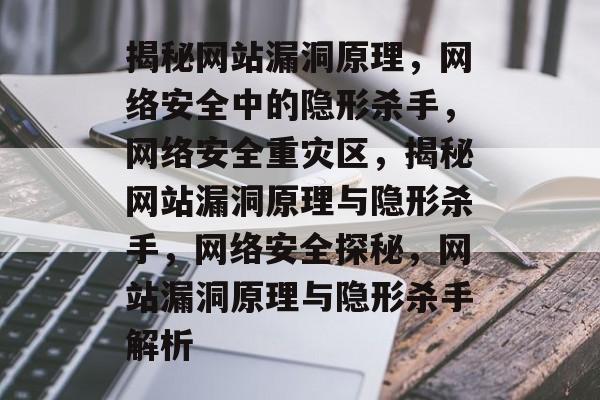 揭秘网站漏洞原理，网络安全中的隐形杀手，网络安全重灾区，揭秘网站漏洞原理与隐形杀手，网络安全探秘，网站漏洞原理与隐形杀手解析