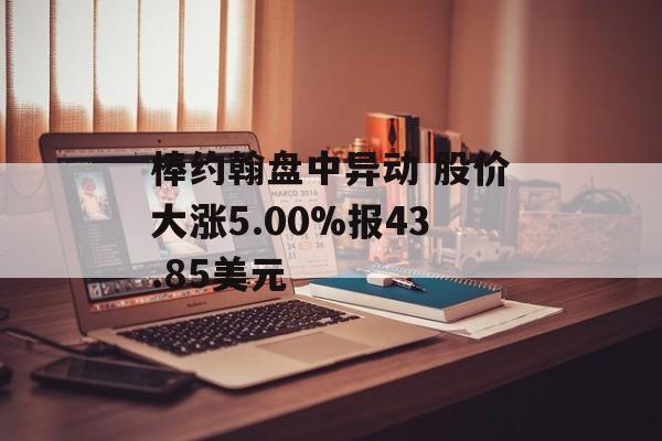 棒约翰盘中异动 股价大涨5.00%报43.85美元