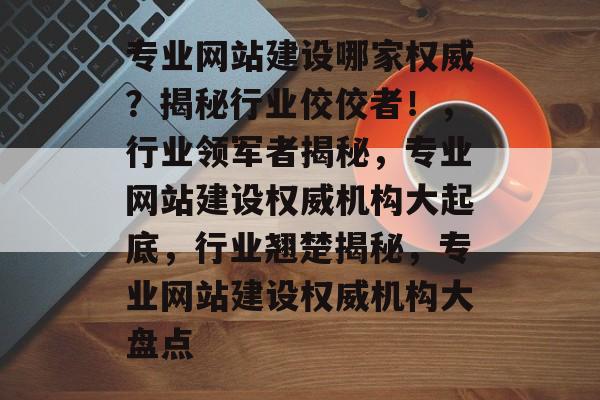 专业网站建设哪家权威？揭秘行业佼佼者！，行业领军者揭秘，专业网站建设权威机构大起底，行业翘楚揭秘，专业网站建设权威机构大盘点