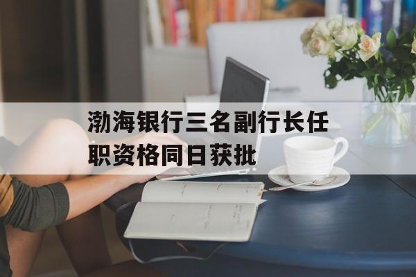 渤海银行三名副行长任职资格同日获批