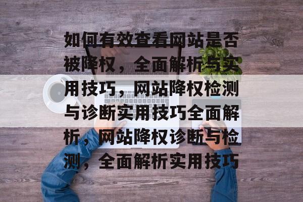 如何有效查看网站是否被降权，全面解析与实用技巧，网站降权检测与诊断实用技巧全面解析，网站降权诊断与检测，全面解析实用技巧