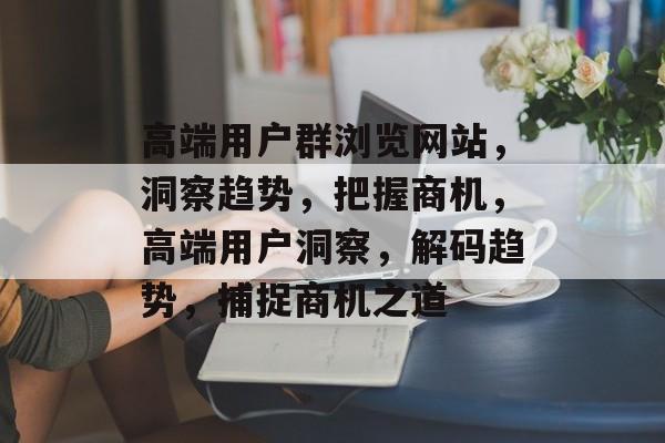 高端用户群浏览网站，洞察趋势，把握商机，高端用户洞察，解码趋势，捕捉商机之道