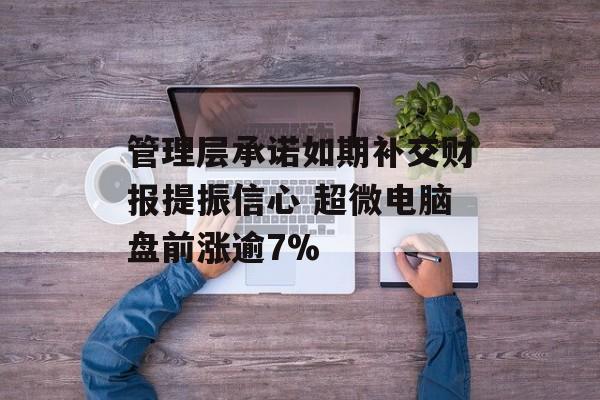 管理层承诺如期补交财报提振信心 超微电脑盘前涨逾7%