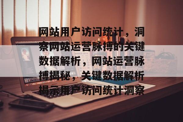 网站用户访问统计，洞察网站运营脉搏的关键数据解析，网站运营脉搏揭秘，关键数据解析揭示用户访问统计洞察