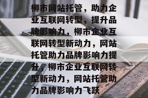 柳市网站托管，助力企业互联网转型，提升品牌影响力，柳市企业互联网转型新动力，网站托管助力品牌影响力提升，柳市企业互联网转型新动力，网站托管助力品牌影响力飞跃