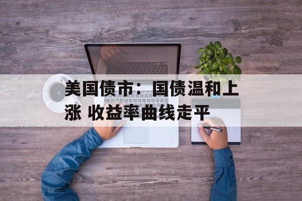 美国债市：国债温和上涨 收益率曲线走平