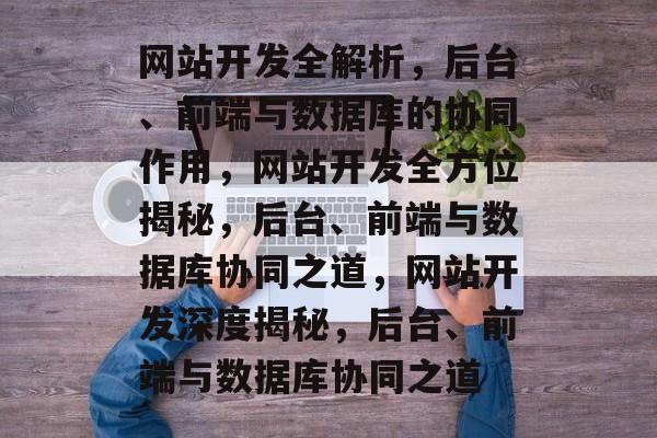 网站开发全解析，后台、前端与数据库的协同作用，网站开发全方位揭秘，后台、前端与数据库协同之道，网站开发深度揭秘，后台、前端与数据库协同之道
