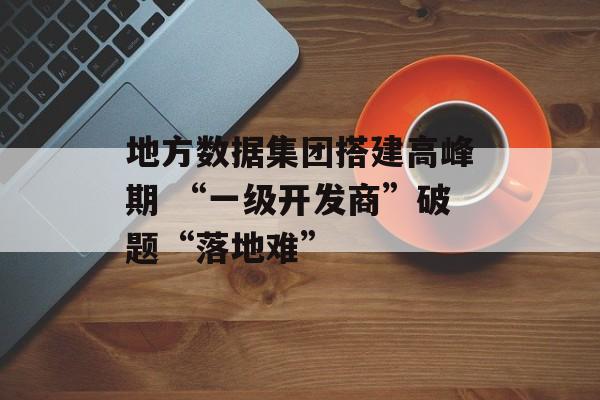 地方数据集团搭建高峰期 “一级开发商”破题“落地难”