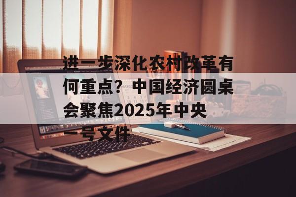 进一步深化农村改革有何重点？中国经济圆桌会聚焦2025年中央一号文件