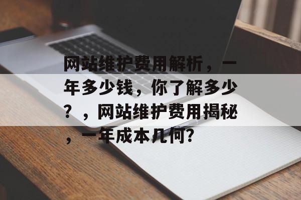 网站维护费用解析，一年多少钱，你了解多少？，网站维护费用揭秘，一年成本几何？