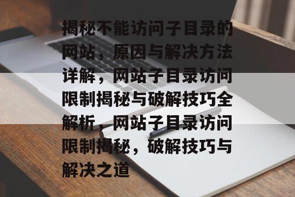 揭秘不能访问子目录的网站，原因与解决方法详解，网站子目录访问限制揭秘与破解技巧全解析，网站子目录访问限制揭秘，破解技巧与解决之道
