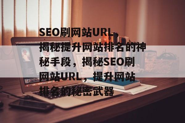 SEO刷网站URL，揭秘提升网站排名的神秘手段，揭秘SEO刷网站URL，提升网站排名的秘密武器