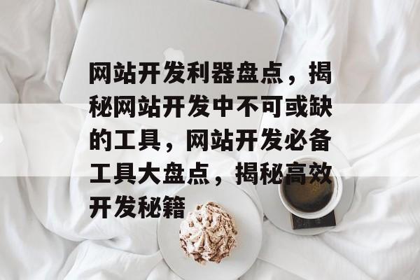 网站开发利器盘点，揭秘网站开发中不可或缺的工具，网站开发必备工具大盘点，揭秘高效开发秘籍