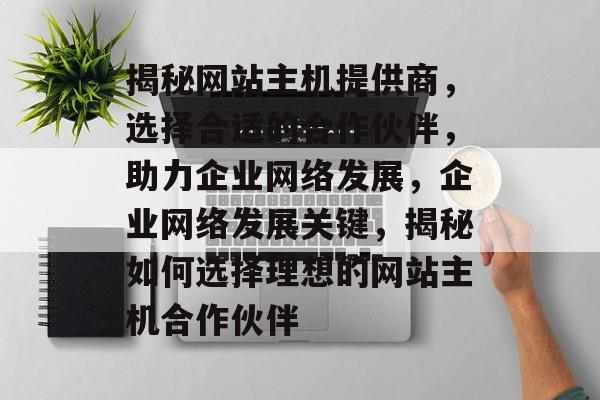 揭秘网站主机提供商，选择合适的合作伙伴，助力企业网络发展，企业网络发展关键，揭秘如何选择理想的网站主机合作伙伴