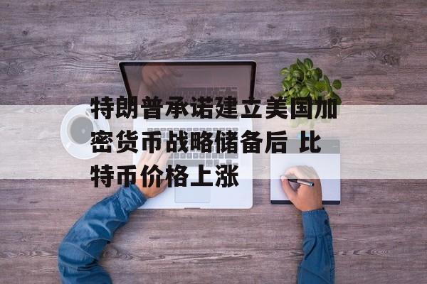 特朗普承诺建立美国加密货币战略储备后 比特币价格上涨