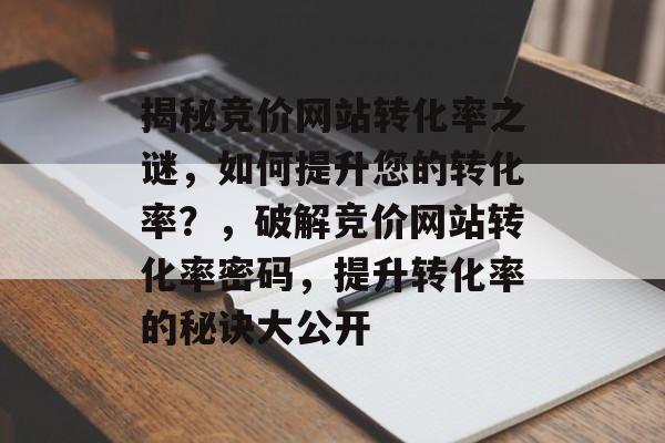 揭秘竞价网站转化率之谜，如何提升您的转化率？，破解竞价网站转化率密码，提升转化率的秘诀大公开