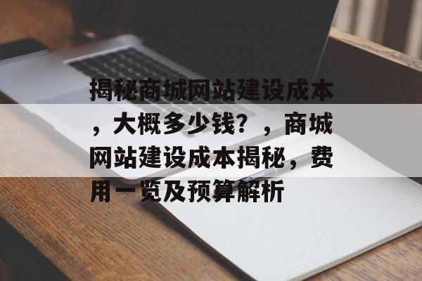 揭秘商城网站建设成本，大概多少钱？，商城网站建设成本揭秘，费用一览及预算解析