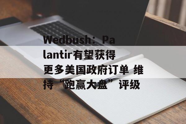Wedbush：Palantir有望获得更多美国政府订单 维持“跑赢大盘”评级