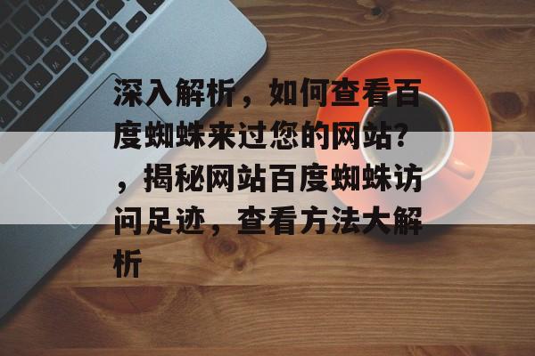 深入解析，如何查看百度蜘蛛来过您的网站？，揭秘网站百度蜘蛛访问足迹，查看方法大解析