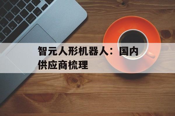 智元人形机器人：国内供应商梳理