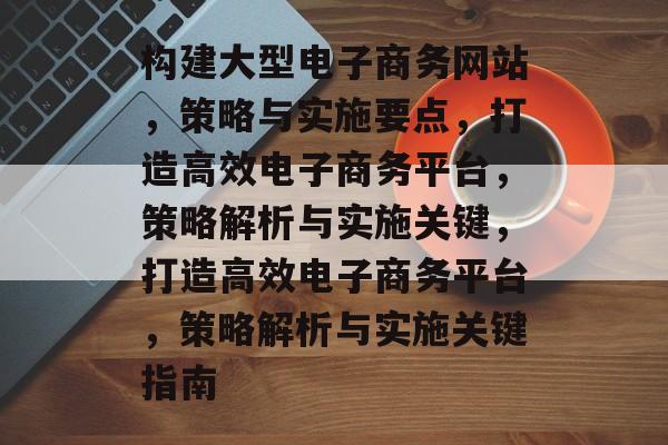构建大型电子商务网站，策略与实施要点，打造高效电子商务平台，策略解析与实施关键，打造高效电子商务平台，策略解析与实施关键指南
