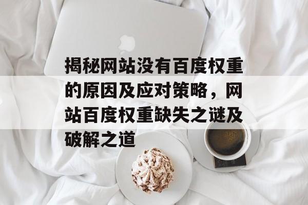 揭秘网站没有百度权重的原因及应对策略，网站百度权重缺失之谜及破解之道