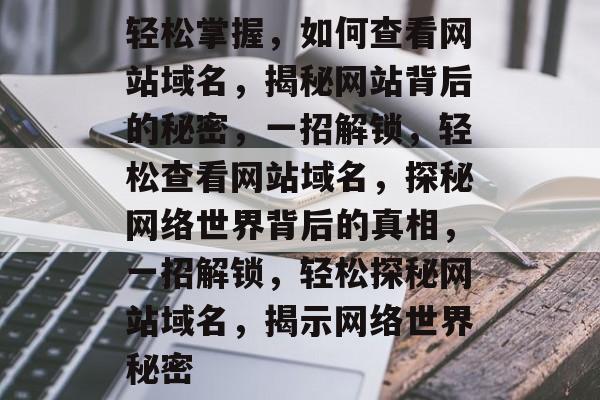 轻松掌握，如何查看网站域名，揭秘网站背后的秘密，一招解锁，轻松查看网站域名，探秘网络世界背后的真相，一招解锁，轻松探秘网站域名，揭示网络世界秘密