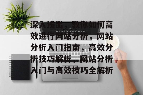 深入浅出，教你如何高效进行网站分析，网站分析入门指南，高效分析技巧解析，网站分析入门与高效技巧全解析
