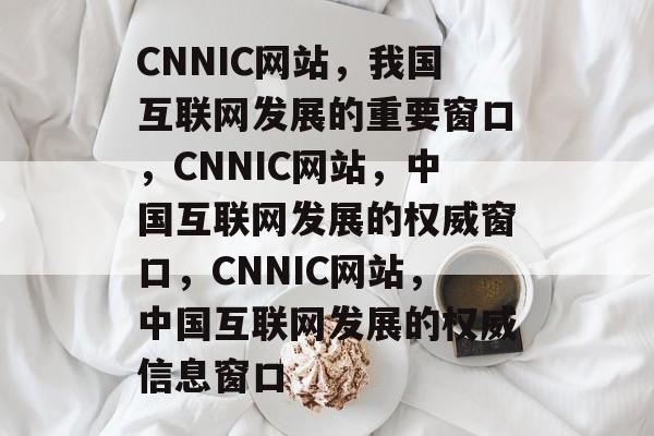 CNNIC网站，我国互联网发展的重要窗口，CNNIC网站，中国互联网发展的权威窗口，CNNIC网站，中国互联网发展的权威信息窗口